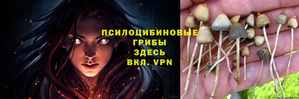 дживик Балахна