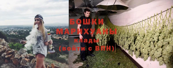 дживик Балахна